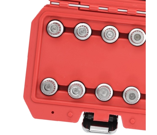 vidaXL 10-daļīgs bloķēšanas riteņu atslēgu komplekts BMW automašīnām