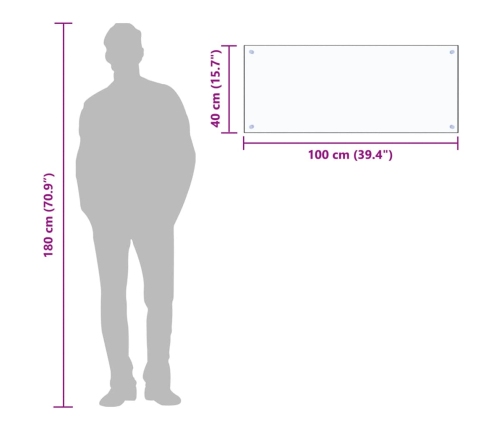 vidaXL virtuves panelis, 100x40 cm, rūdīts stikls, caurspīdīgs