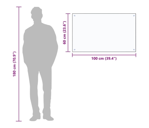 vidaXL virtuves panelis, 100x60 cm, rūdīts stikls, caurspīdīgs