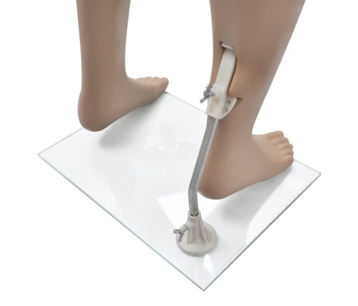 vidaXL vīriešu manekens bez galvas