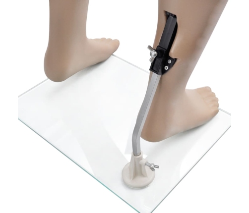 vidaXL vīriešu manekens, apaļa galva