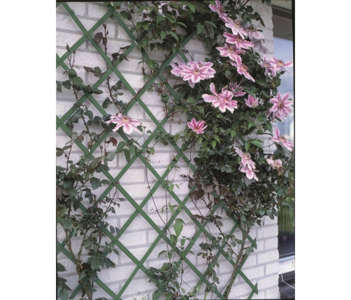 Nature dārza špaleras, 2 gab., zaļas, 100x200 cm, PVC