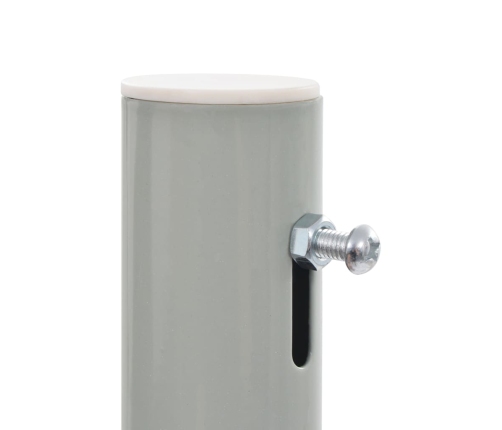 vidaXL izvelkama sānu markīze, 160x300 cm, sarkana