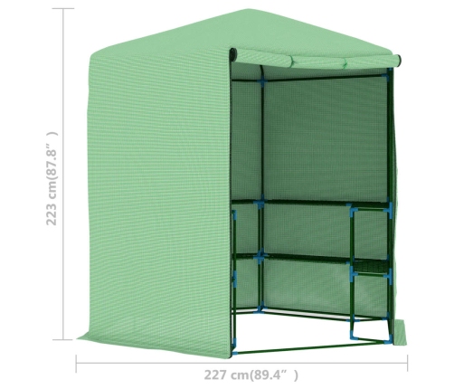 vidaXL siltumnīca ar plauktiem, tērauds, 227x223 cm
