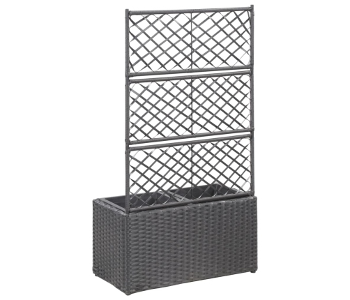 vidaXL vīteņaugu režģis ar 2 augstām kastēm, 58x30x107 cm, melns PE