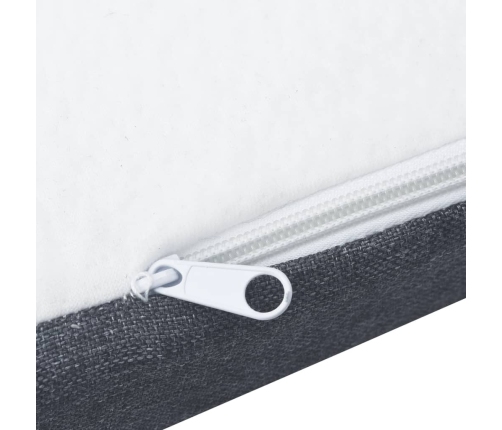 vidaXL virsmatracis atsperu gultai, 200x120x5 cm