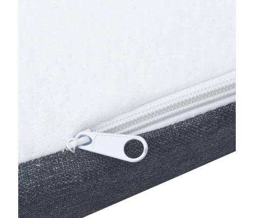 vidaXL virsmatracis atsperu gultai, 200x180x5 cm