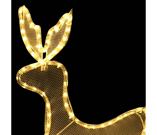 Ziemassvētku Dekors, Briedis Un Kamanas, Siets, 432 Led Vidaxl