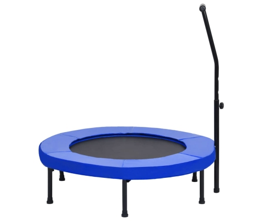 Fitnesa Batuts Ar Rokturi Un Aizsargapmali, 102 Cm Vidaxl