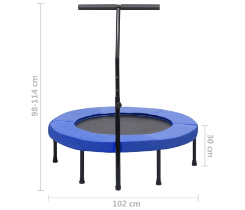 Fitnesa Batuts Ar Rokturi Un Aizsargapmali, 102 Cm Vidaxl