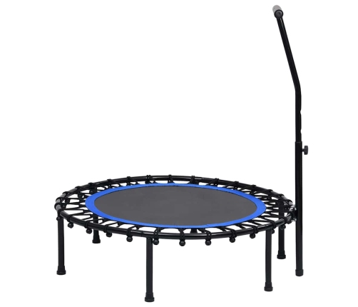 vidaXL fitnesa batuts ar rokturi, 102 cm