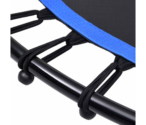 vidaXL fitnesa batuts ar rokturi, 102 cm