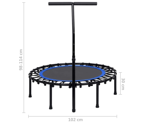 vidaXL fitnesa batuts ar rokturi, 102 cm