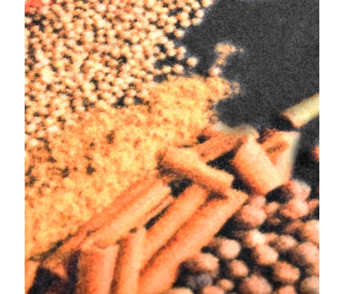 vidaXL virtuves paklājs, mazgājams, apdruka ar garšvielām, 45x150 cm