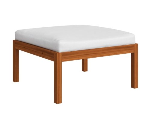 10-Daļīgs Dārza Atpūtas Mēbeļu Komplekts Ar Matračiem, Akācija Vidaxl