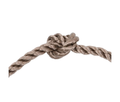 vidaXL kāpšanas sienas aizķeres ar virvi, 25 gab., daudzkrāsainas