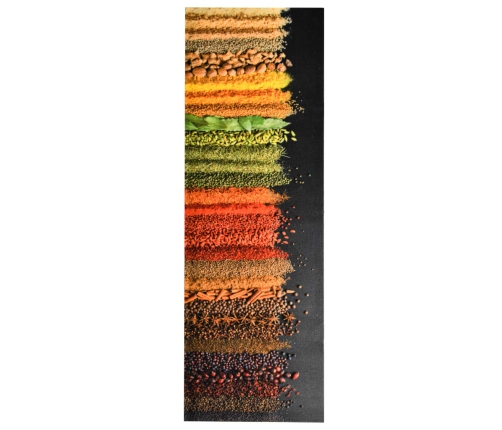 vidaXL virtuves paklājs, mazgājams, apdruka ar garšvielām, 60x300 cm