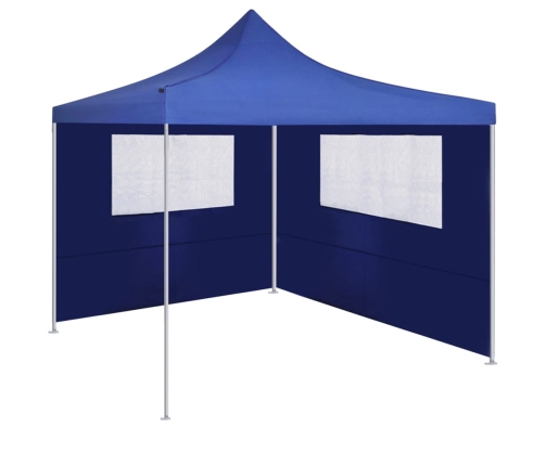 vidaXL dārza nojumes siena ar logiem, 4x2 m, zila