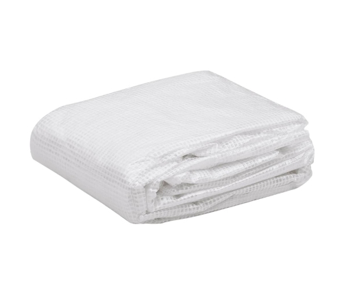 vidaXL siltumnīcas rezerves pārsegs, (4,5 m²), 3x1,5x2 m, caurspīdīgs