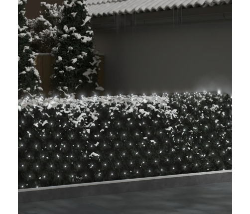 vidaXL Ziemassvētku lampiņu tīkls, 3x2 m, 204 vēsi baltas LED