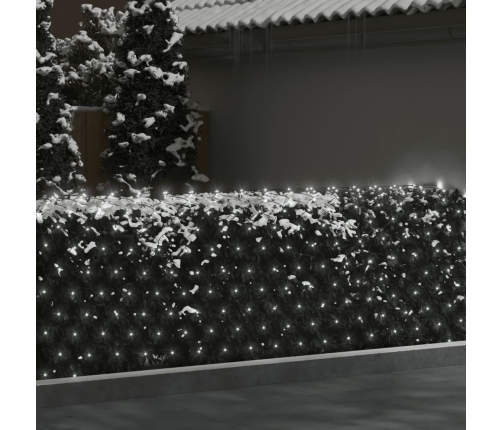 vidaXL Ziemassvētku lampiņu tīkls, 3x3 m, 306 vēsi baltas LED