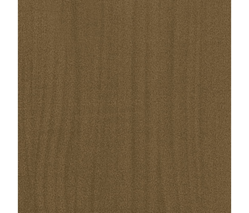 vidaXL 2-līmeņu grāmatu plaukts, 80x30x70 cm, priedes masīvkoks