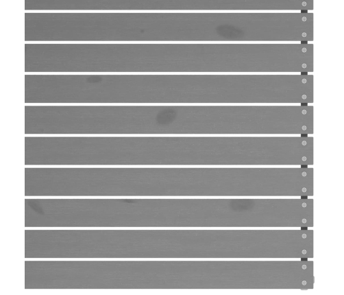 vidaXL vidējie dārza dīvāni, 2 gab., pelēki, priedes masīvkoks