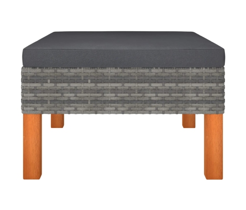 vidaXL 10-daļīgs dārza dīvānu komplekts, PE rotangpalma, eikalipts