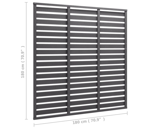 vidaXL žoga panelis, WPC, 180x180 cm, pelēks