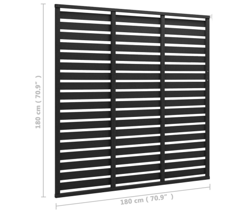 vidaXL žoga panelis, WPC, 180x180 cm, melns