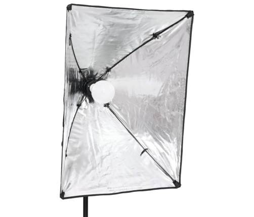 vidaXL fotostudijas komplekts, gaismas un fons