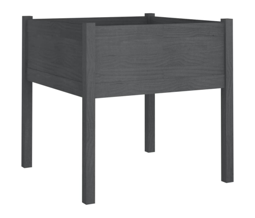 vidaXL dārza puķu kastes, 2 gab., 70x70x70cm, pelēks priedes masīvkoks