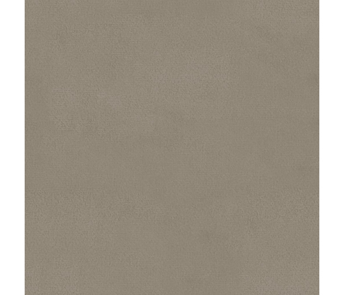 vidaXL virtuves krēsli, 2 gab., gaiši pelēks samts