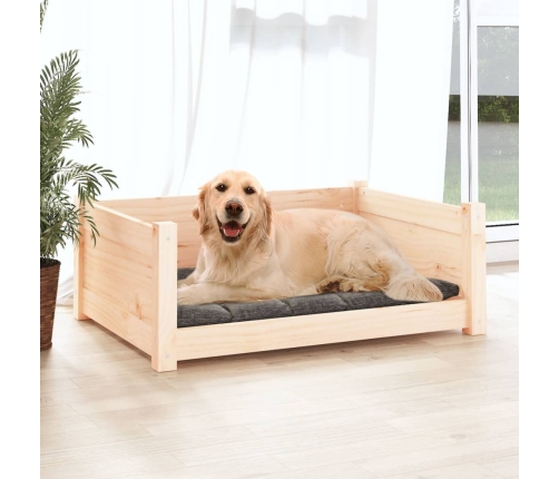 vidaXL suņu gulta, 75,5x55,5x28 cm, priedes masīvkoks