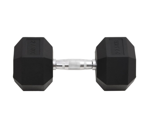 vidaXL hantele, 27,5 kg, čuguns
