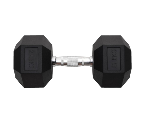 vidaXL hantele, 27,5 kg, čuguns