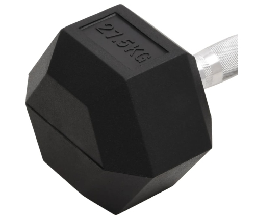 vidaXL hantele, 27,5 kg, čuguns