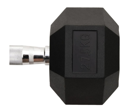 vidaXL hantele, 27,5 kg, čuguns