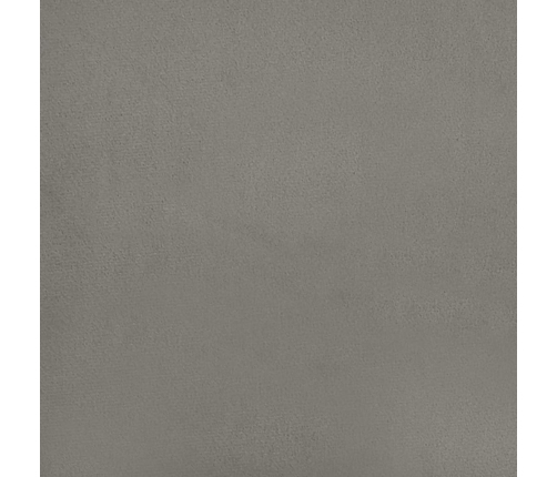 vidaXL kabatu atsperu matracis, gaiši pelēks samts, 180x200x20 cm