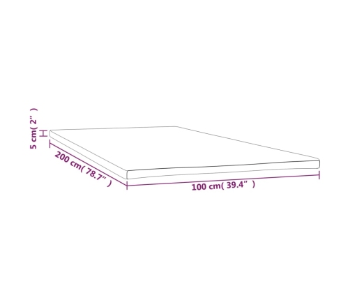 vidaXL virsmatracis, 100x200x5 cm