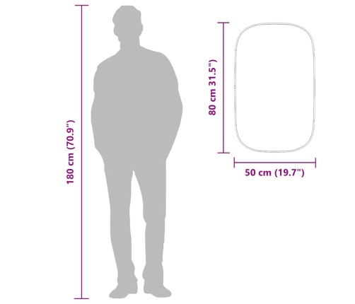 vidaXL sienas spogulis, sudraba krāsā, 80x50 cm