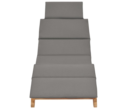 vidaXL sauļošanās zviļņi ar matračiem, 2 gab., masīvs tīkkoks