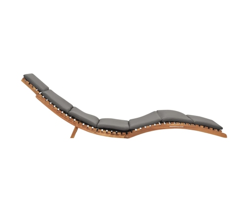 vidaXL sauļošanās zviļņi ar matračiem, 2 gab., masīvs tīkkoks