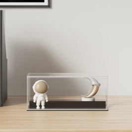 Vitrīnas Kaste, Caurspīdīga, 19,5X8,5X8,5 Cm, Akrils Vidaxl