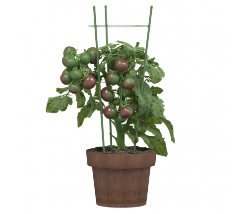 vidaXL dārza augu mietiņi ar 3 gredzeniem, 5 gb., zaļi, 45 cm, tērauds