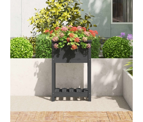 vidaXL puķu kaste ar plauktu, pelēka, 54x34,5x81 cm, priedes masīvkoks