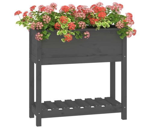 vidaXL puķu kaste ar plauktu, pelēka, 82,5x34,5x81, priedes masīvkoks