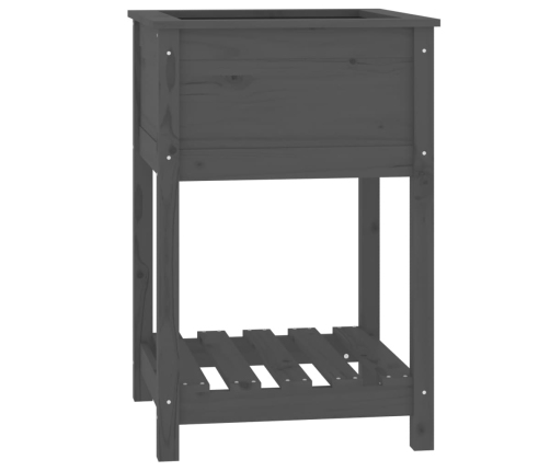 vidaXL puķu kaste ar plauktu, pelēka, 54x54x81 cm, priedes masīvkoks