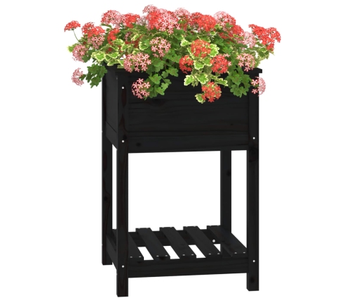 vidaXL puķu kaste ar plauktu, melna, 54x54x81 cm, priedes masīvkoks