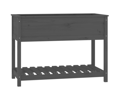 vidaXL puķu kaste ar plauktu, pelēka, 111,5x54x81cm, priedes masīvkoks